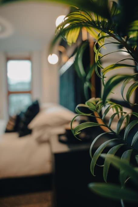 Penthouse Noir - Wyndale Living - Central Bham 2Br برمنغهام المظهر الخارجي الصورة